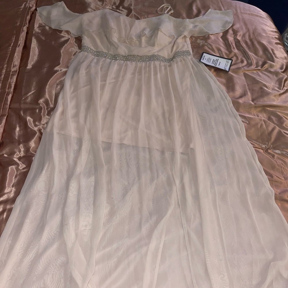 NWT - Sheer Maxi Dress in Blush Pink Size 16